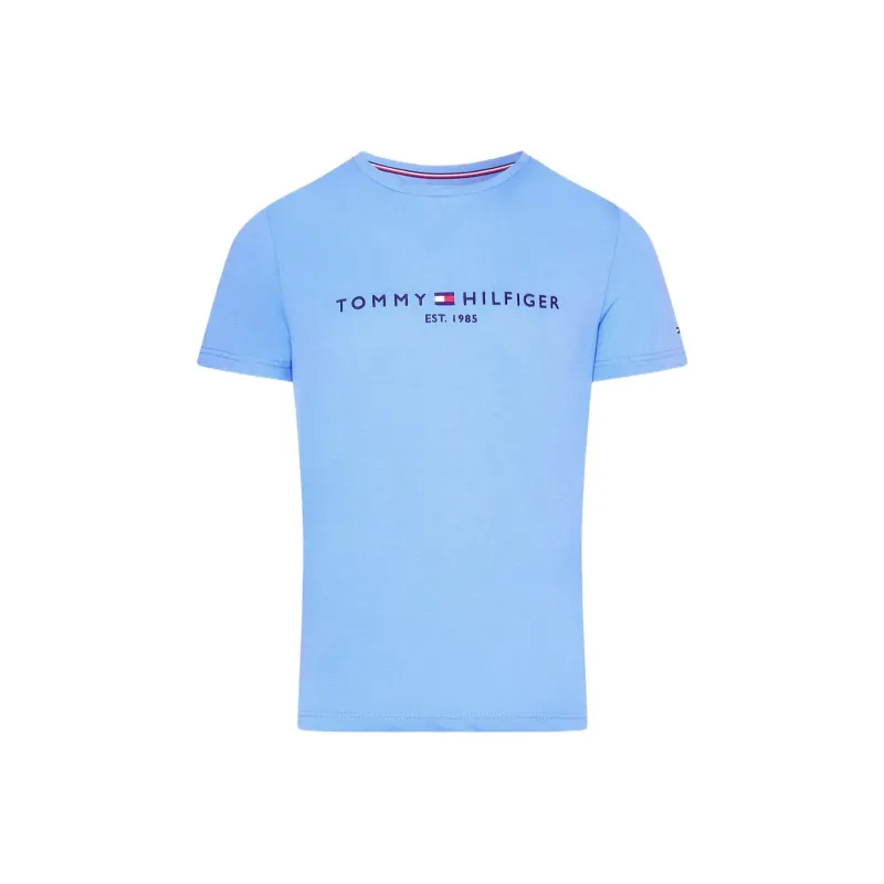 Tommy Hilfiger T Shirt Men's Blue-0