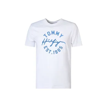Tommy Hilfiger T Shirts Men