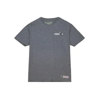 Mitchell Ness T-Shirts Men Gray