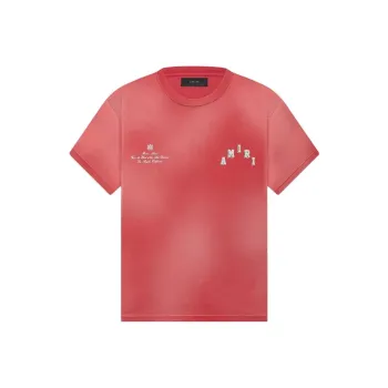 AMIRI Vintage Collegiate Tee