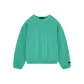 Mint Leaf/MINT LEAF