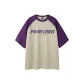 Purple Sleeves with Beige Body