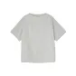 Silver Gray