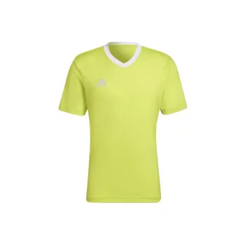 Adidas Entrada 22 T Shirts Men Green