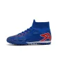Blue-Turf
