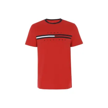 Tommy Hilfiger T Shirts Men