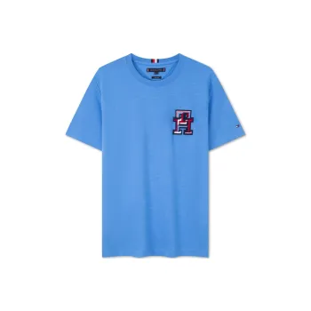 Tommy Hilfiger T Shirts Men