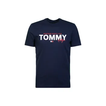 Tommy Hilfiger T Shirts Men