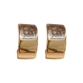 Drejew Alloy Stud Earrings Women's