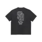 Charcoal Gray
