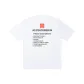White Description 2