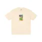 Beige Yellow