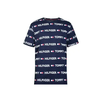 Tommy Hilfiger T Shirts Men