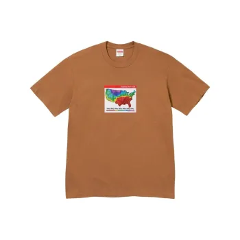 Supreme Weather Tee