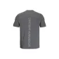 Rhinoceros Gray
