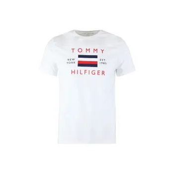 Tommy Hilfiger T Shirts Men