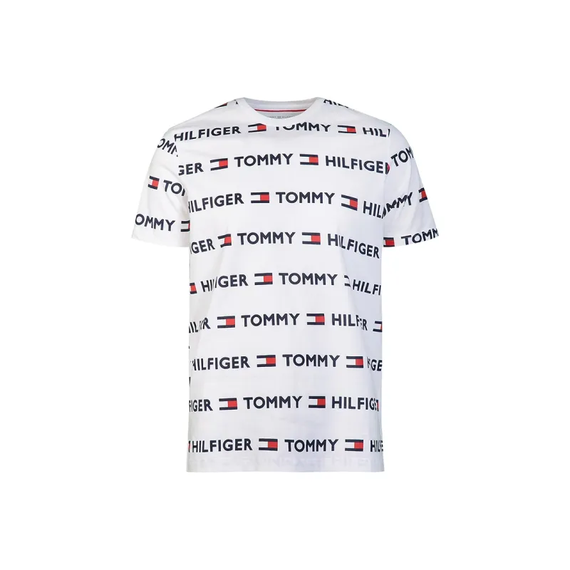 Tommy Hilfiger T Shirts Men-1