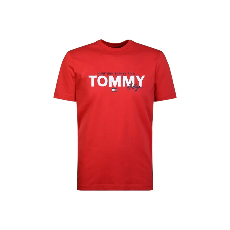 Tommy Hilfiger T Shirts Men-4