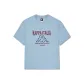 Light Gray Blue-8815