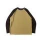 Camel & Brown