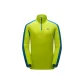 Yellow Fruit Green