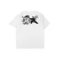 White Gray