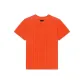 Bright Orange