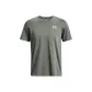 Gray Green