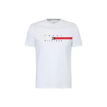 Tommy Hilfiger T Shirts Men