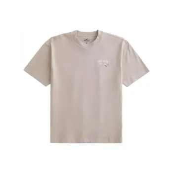 Hollister T-Shirts Men Brown Yellow