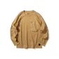 Chestnut Brown 5601