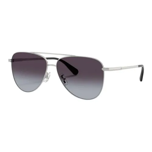 COACH Metal Nickel Alloy Aviator Sunglasses Men's Silver