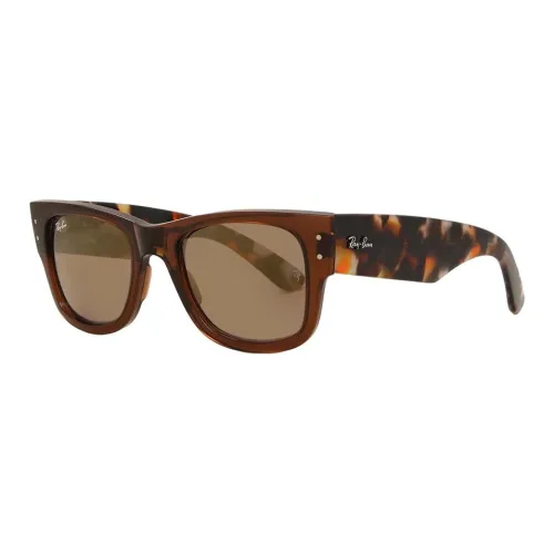 RayBan Propionate Salt Irregular Shape Sunglasses Unisex Brown