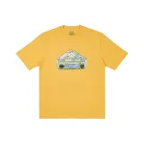 Amber Yellow