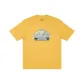 Amber Yellow