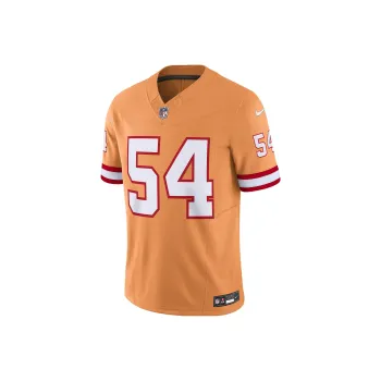 Nike Lavonte David Tampa Bay Buccaneers Men's Nike Dri FIT Nfl Limited Football Jersey