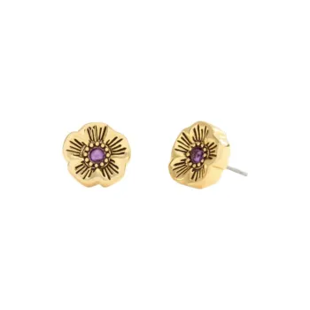 COACH Brass Plated Glass Cubic Zircon Titanium Rod Stud Earrings Women's Yellow