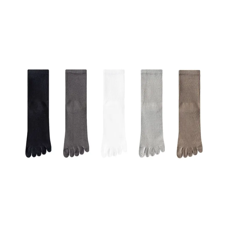 SOIE Knee High Socks Men's Combo Set-12