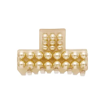 ALEXANDRE DE PARIS Pingsi Collection Medium Size Claw Clip Women's