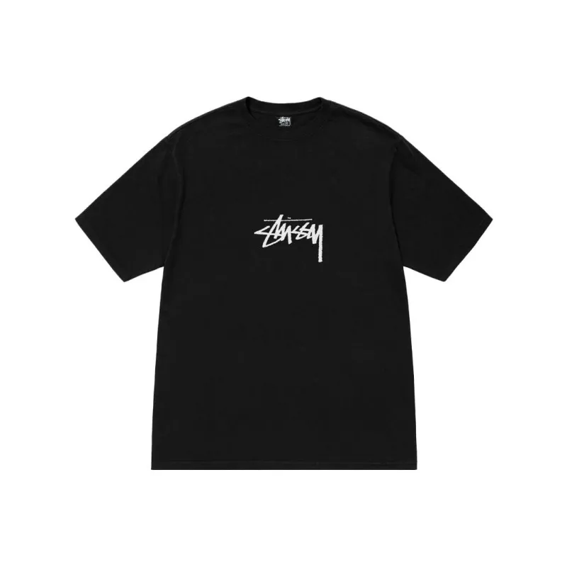 Stussy Pigment Dyed Small Stock Tee-2