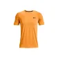 Ginger Yellow