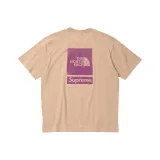 Light Umber/Light Brown