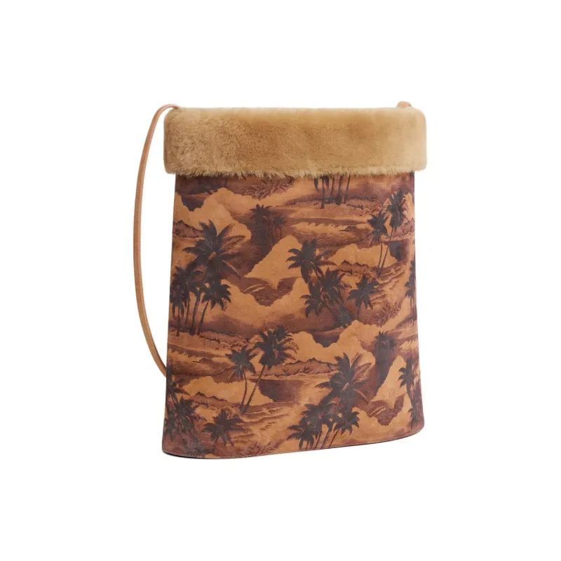 CELINE Suede Bucket Bags Crossbody Bag Shoulder Bag Men's Brown-1