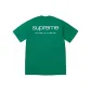 Light Pine Green
