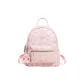 Cherry Blossom Pink[Chinese Version]