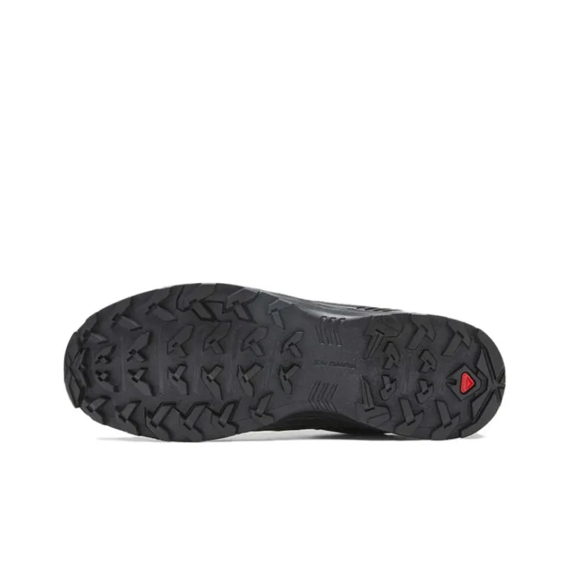 SALOMON X Braze Gtx / L00-4