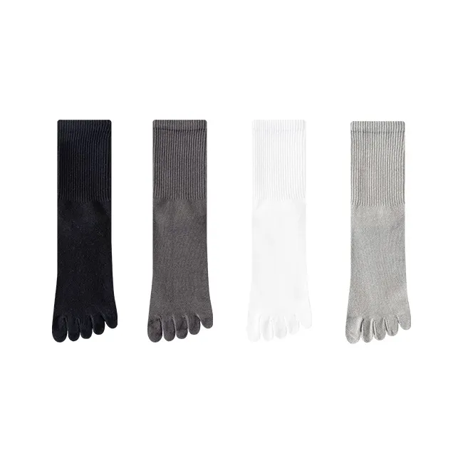 SOIE Knee High Socks Men's Combo Set-43