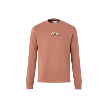 Adidas Originals City Skate Long Sleeve Tee T Shirt Unisex Clay Strata