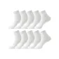 10 Pack (10 White)
