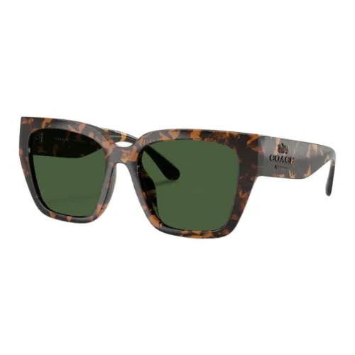 COACH Plastic Cat Eye Sunglasses Women's Black Brown
